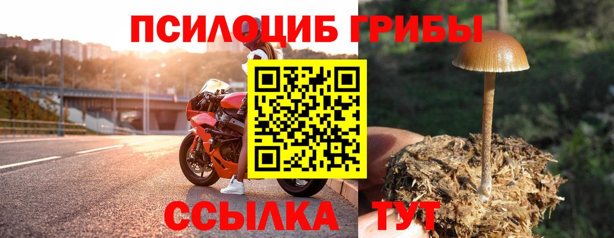 Псилоцибиновые грибы MAGIC MUSHROOMS Конаково