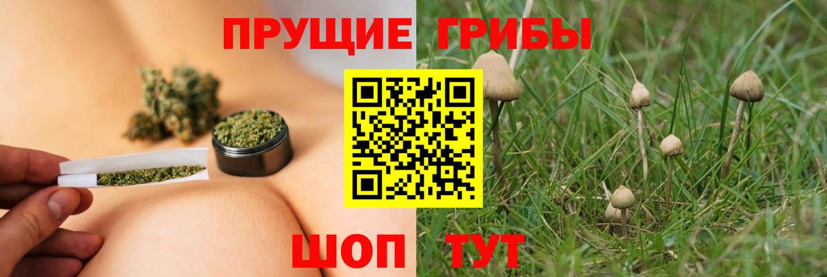 Галлюциногенные грибы мицелий  Вход с VPN  Конаково 